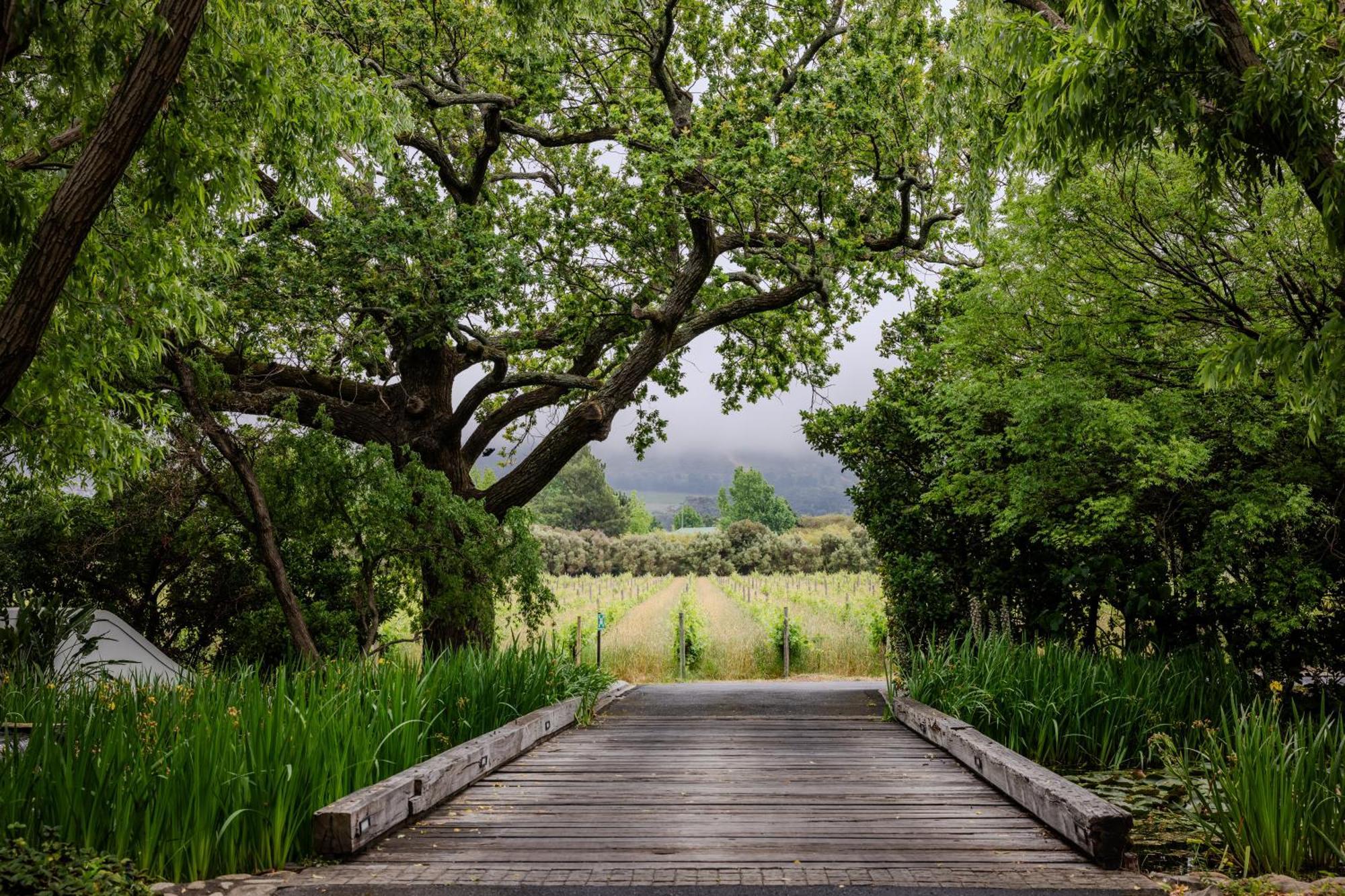 Grande Provence Otel Franschhoek Dış mekan fotoğraf